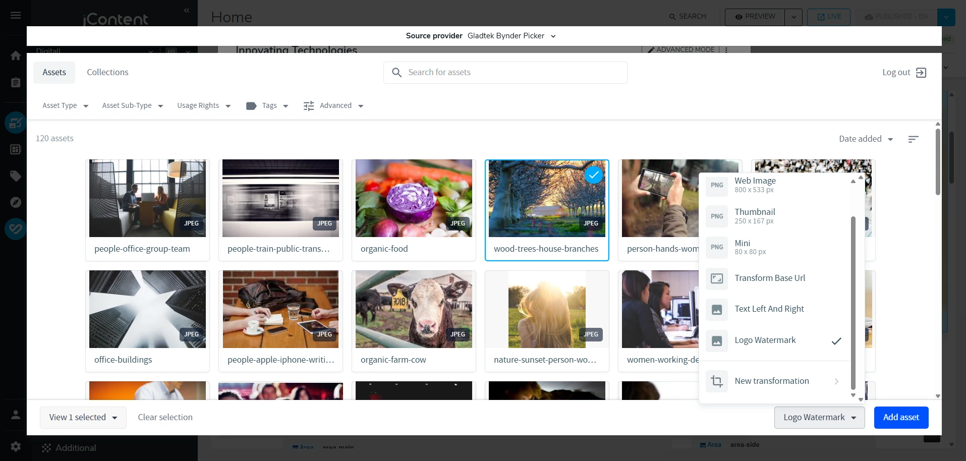 Image Derivative Selection