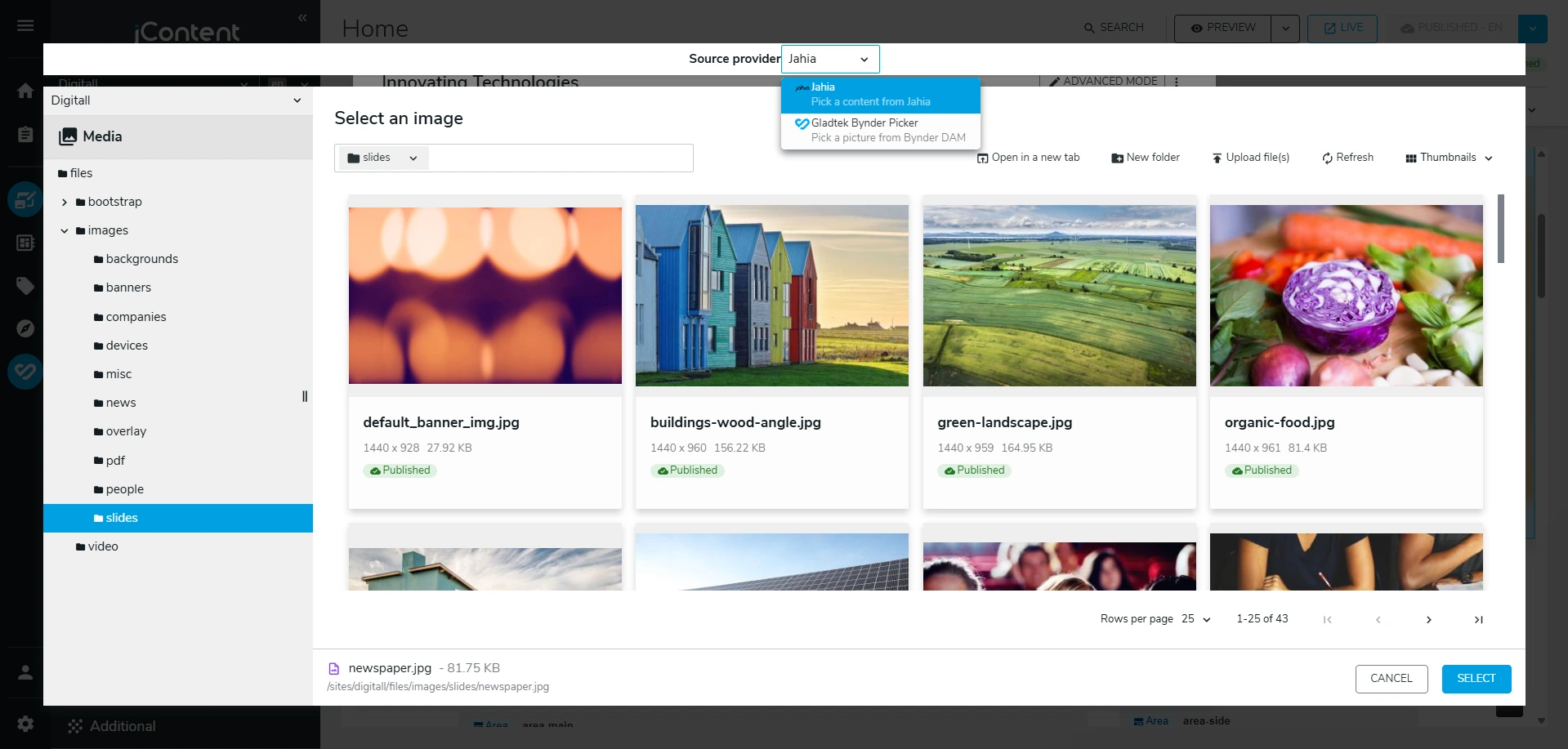 Image Selection Interface